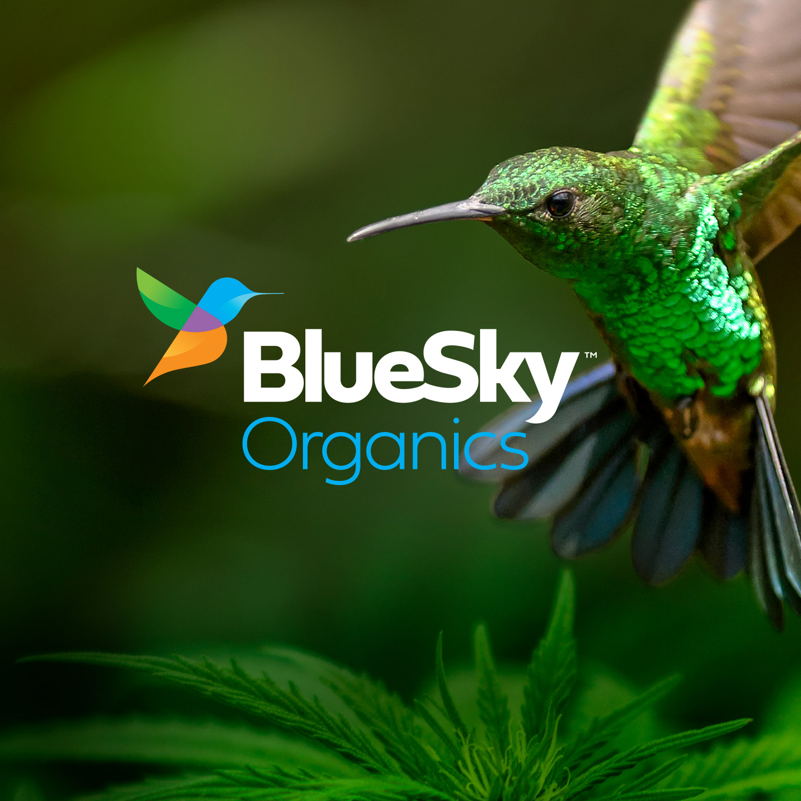 BlueSky Organics